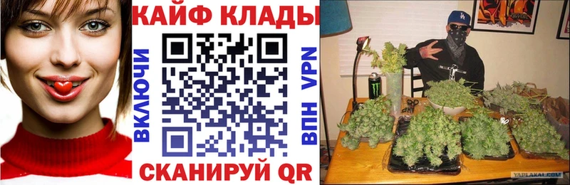 Где купить Чкаловск Канабис  Альфа ПВП  блэк спрут ONION  ГАШИШ  Мефедрон  Cocaine 