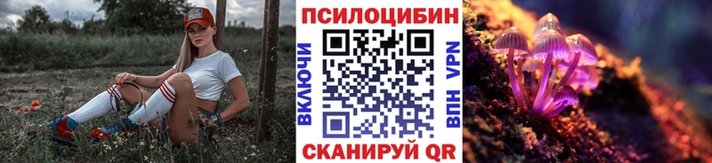 где купить   Чкаловск  Псилоцибиновые грибы Magic Shrooms 