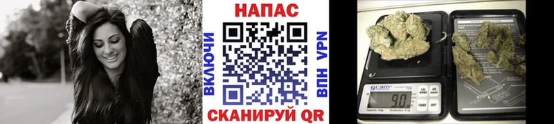 Каннабис сатива  Чкаловск 